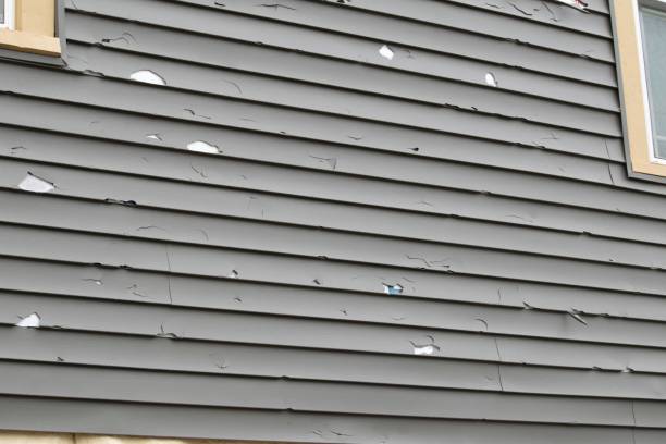 Best Demolition Debris Removal  in Pine Crest, TN